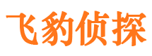 源城市私家侦探